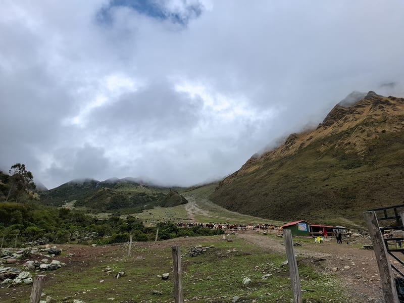 The way up